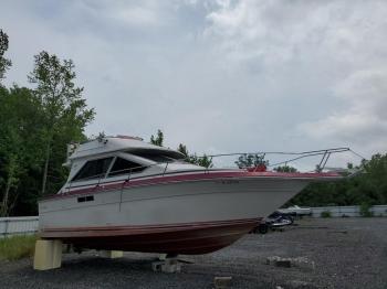  Salvage Sea Ray Boat