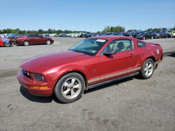  Salvage Ford Mustang