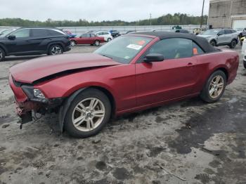  Salvage Ford Mustang