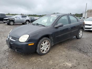  Salvage Dodge Neon