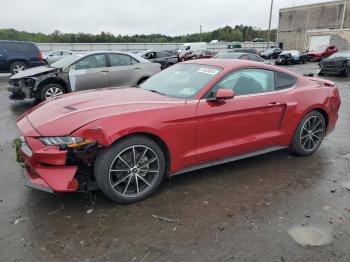  Salvage Ford Mustang