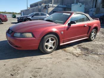  Salvage Ford Mustang