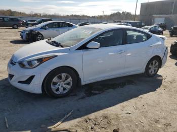  Salvage Hyundai ELANTRA