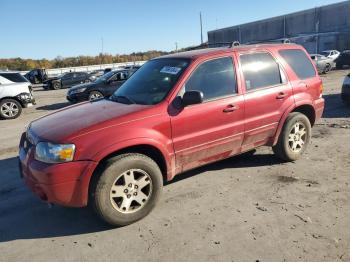  Salvage Ford Escape