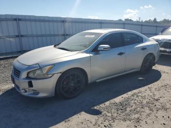  Salvage Nissan Maxima