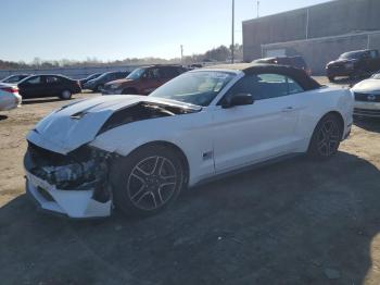  Salvage Ford Mustang