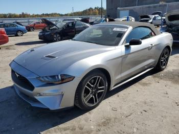  Salvage Ford Mustang