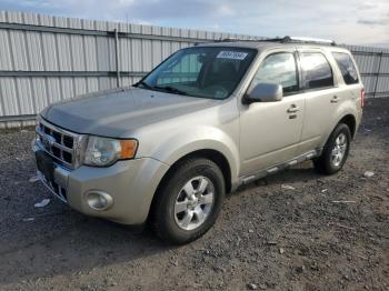  Salvage Ford Escape