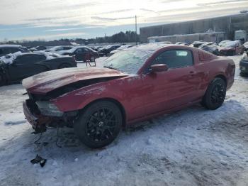  Salvage Ford Mustang