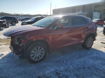  Salvage Lexus NX