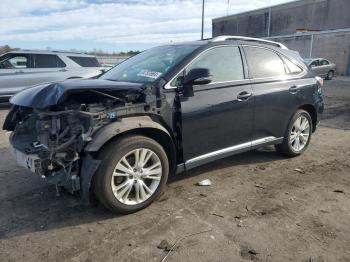  Salvage Lexus RX