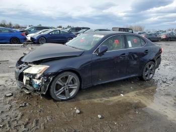  Salvage Lexus Is