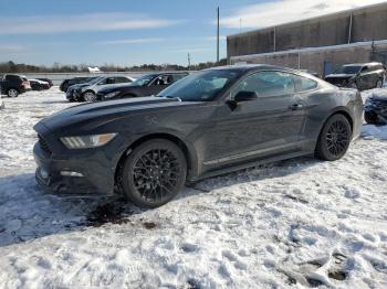  Salvage Ford Mustang