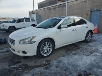  Salvage Nissan Maxima