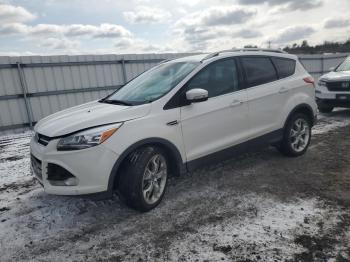  Salvage Ford Escape