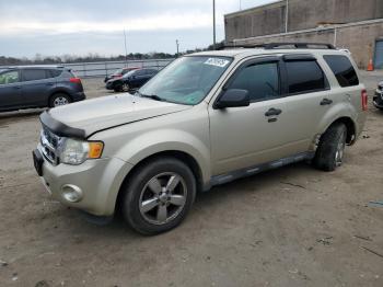  Salvage Ford Escape