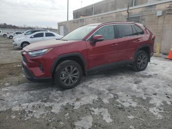  Salvage Toyota RAV4