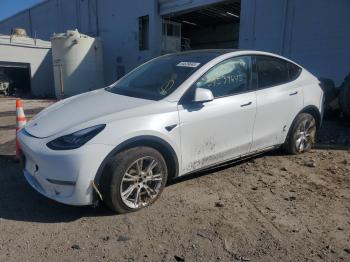  Salvage Tesla Model Y