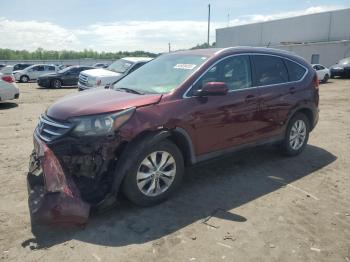  Salvage Honda Crv