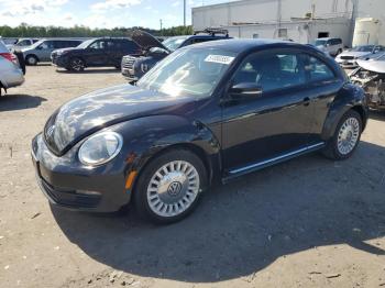  Salvage Volkswagen Beetle