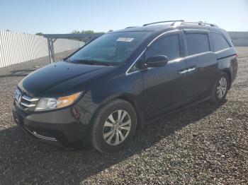  Salvage Honda Odyssey
