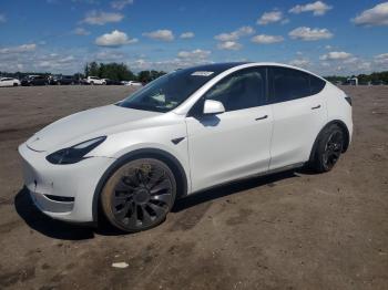  Salvage Tesla Model Y