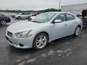  Salvage Nissan Maxima