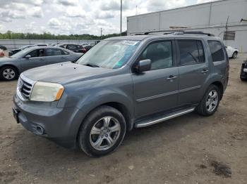  Salvage Honda Pilot