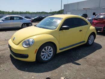  Salvage Volkswagen Beetle