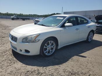 Salvage Nissan Maxima