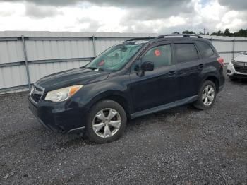  Salvage Subaru Forester
