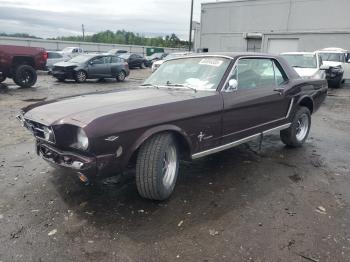  Salvage Ford Mustang
