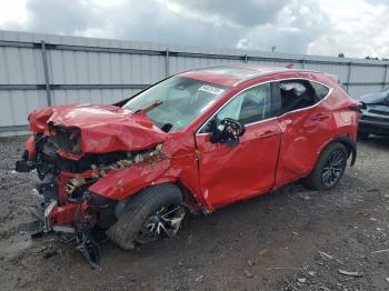  Salvage Lexus NX