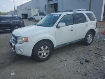 Salvage Ford Escape