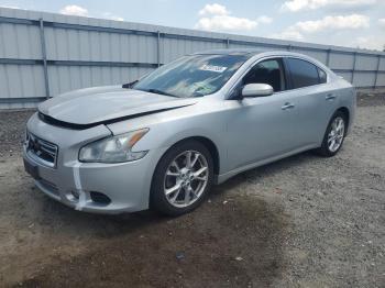  Salvage Nissan Maxima