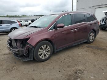  Salvage Honda Odyssey
