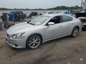  Salvage Nissan Maxima