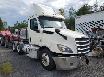  Salvage Freightliner Cascadia 1