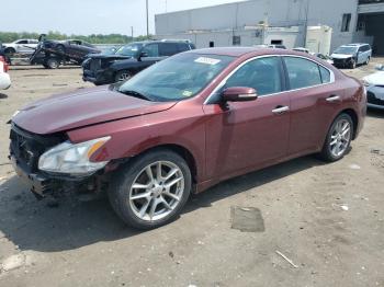  Salvage Nissan Maxima