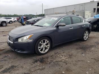  Salvage Nissan Maxima
