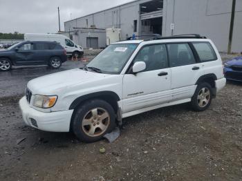  Salvage Subaru Forester