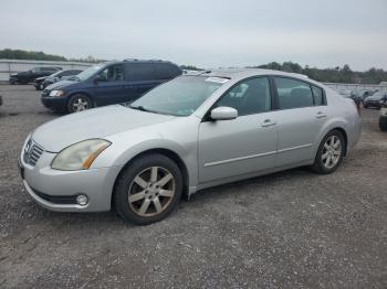  Salvage Nissan Maxima
