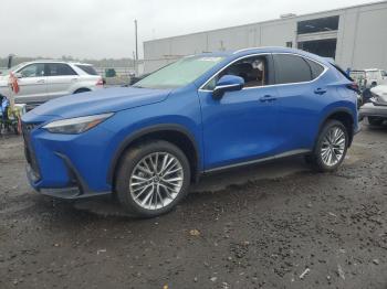  Salvage Lexus NX