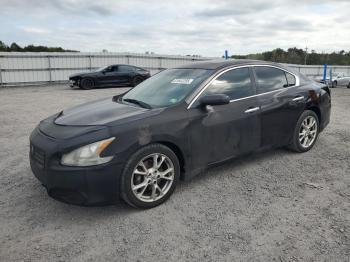  Salvage Nissan Maxima