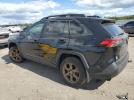 Toyota RAV4 Woodland Edition Image 3