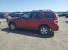Ford Escape Xlt Image 3