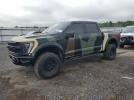 Ford F-150 Raptor Image 1