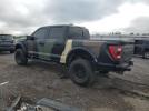 Ford F-150 Raptor Image 6