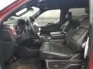 Ford F-150 Raptor Image 2