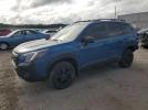 Subaru Forester Wilderness Image 1